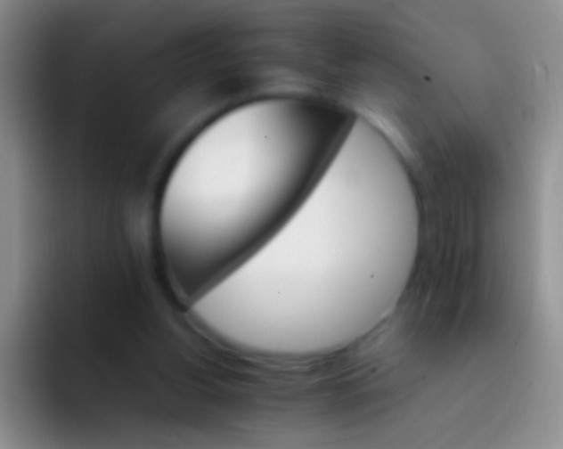 X0000092070156200709262052