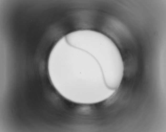 X0000092070162200709262052