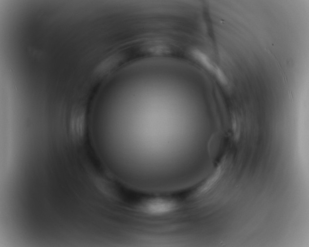 X0000092070163200709262052
