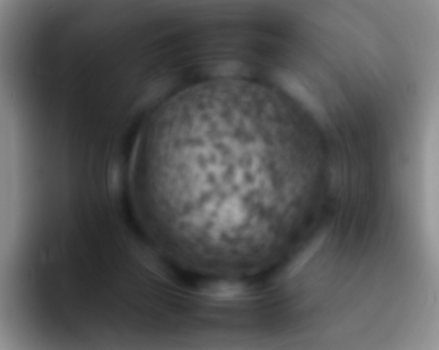 X0000092070165200709262052