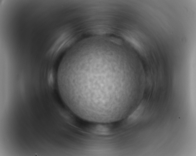 X0000092070166200709262052