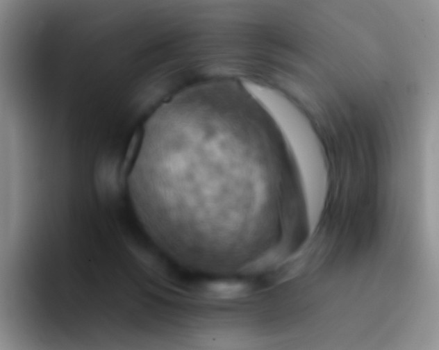 X0000092070168200709262052