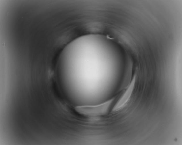 X0000092070176200709262052