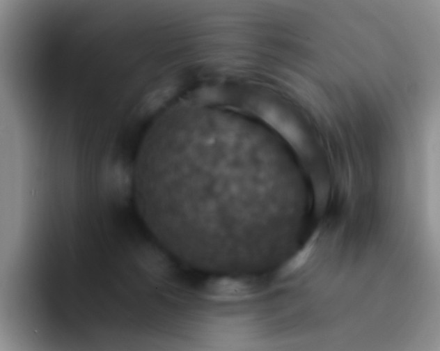 X0000092070180200709262052
