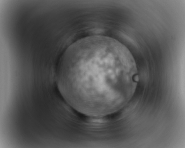 X0000092070181200709262052