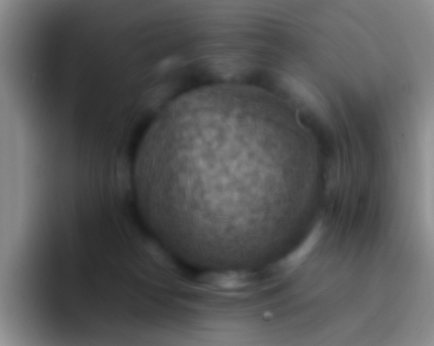 X0000092070182200709262052
