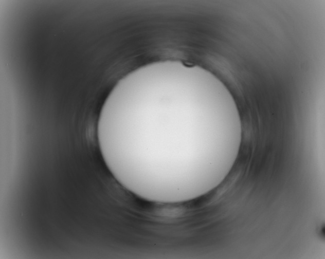 X0000092070185200709262052