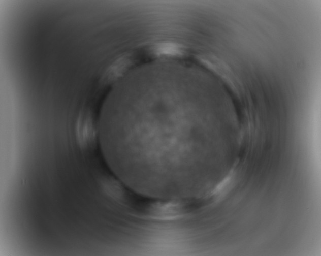 X0000092070186200709262052