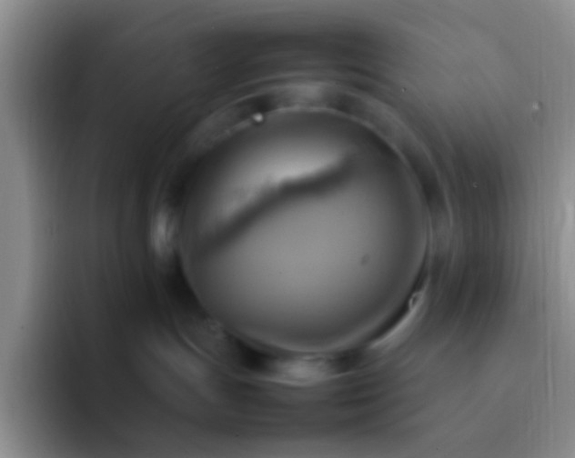 X0000092070191200709262052
