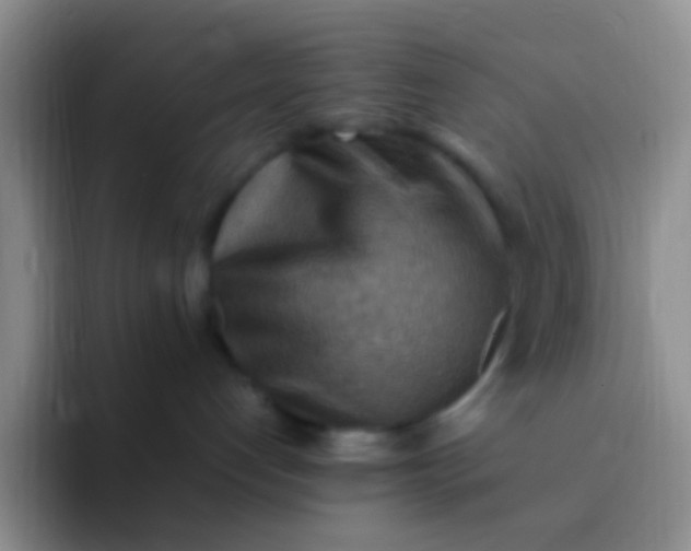 X0000092070192200709262052