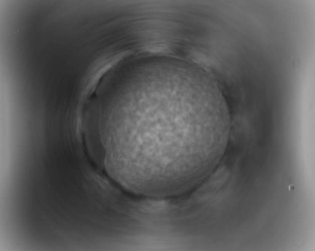 X0000092070194200709262052