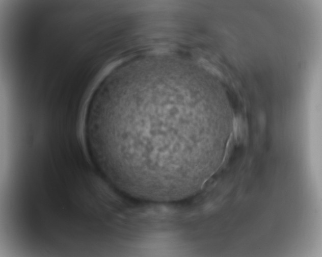 X0000092070195200709262052