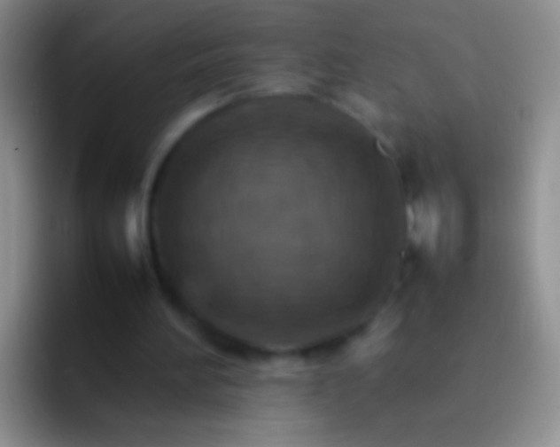 X0000092070196200709262052