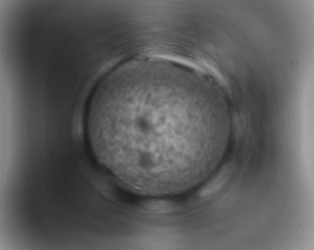 X0000092070203200709262052