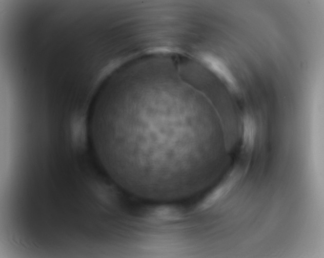 X0000092070204200709262052