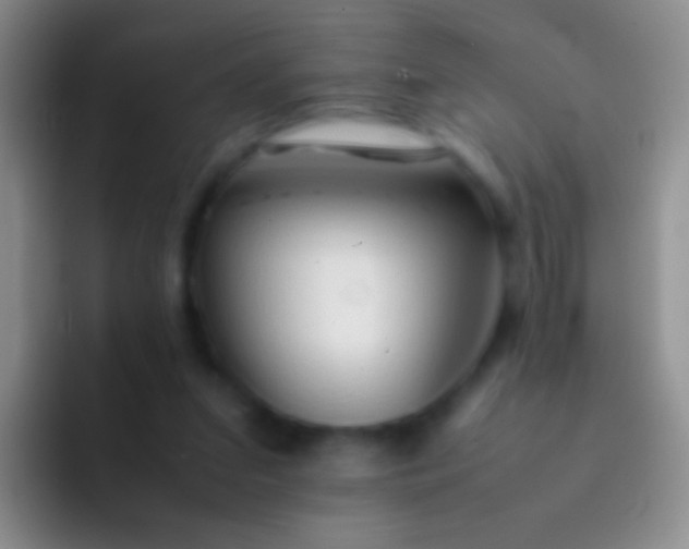 X0000092070207200709262052