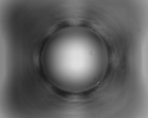 X0000092070209200709262052