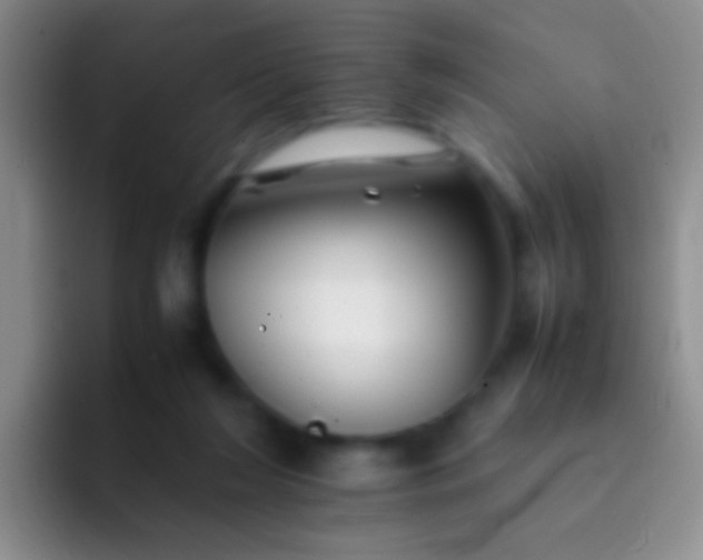X0000092070212200709262052
