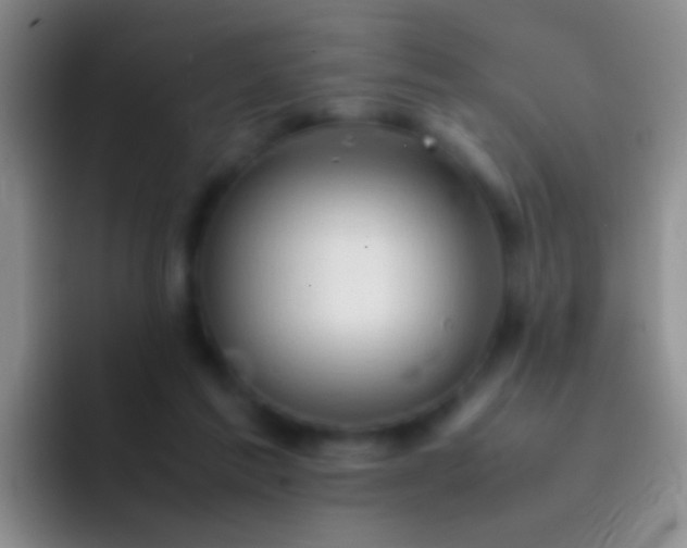 X0000092070213200709262052