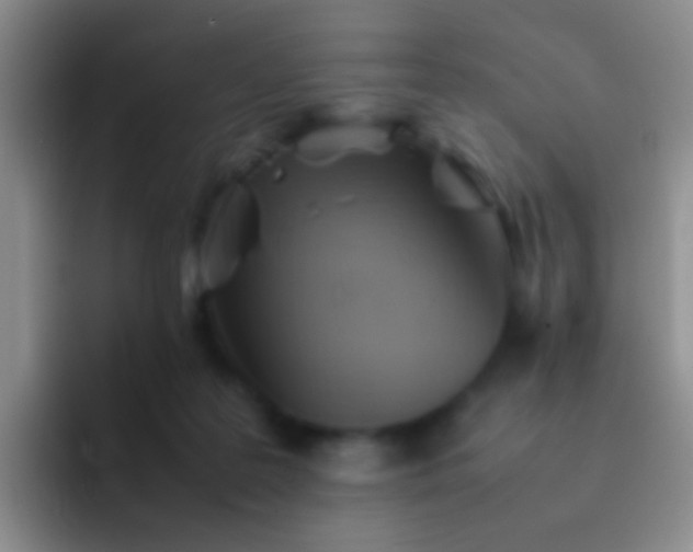 X0000092070219200709262052