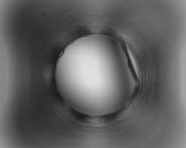 X0000092070221200709262052