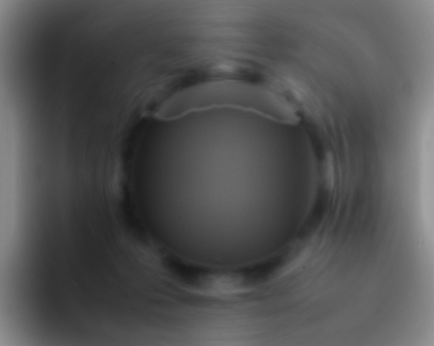 X0000092070223200709262052