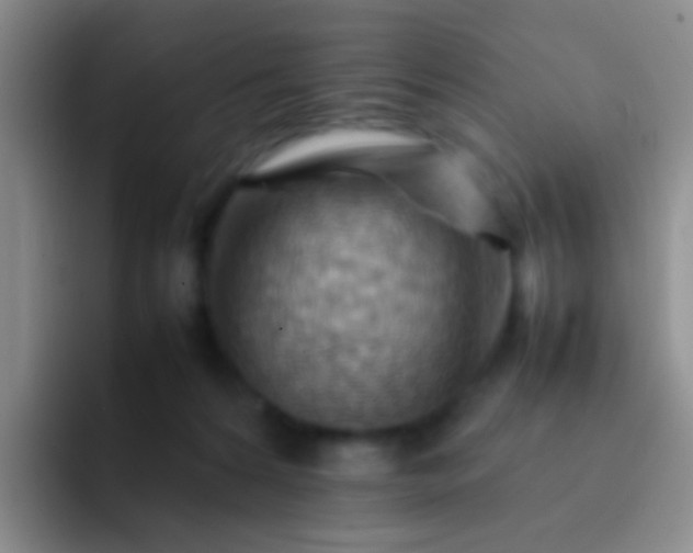 X0000092070224200709262052