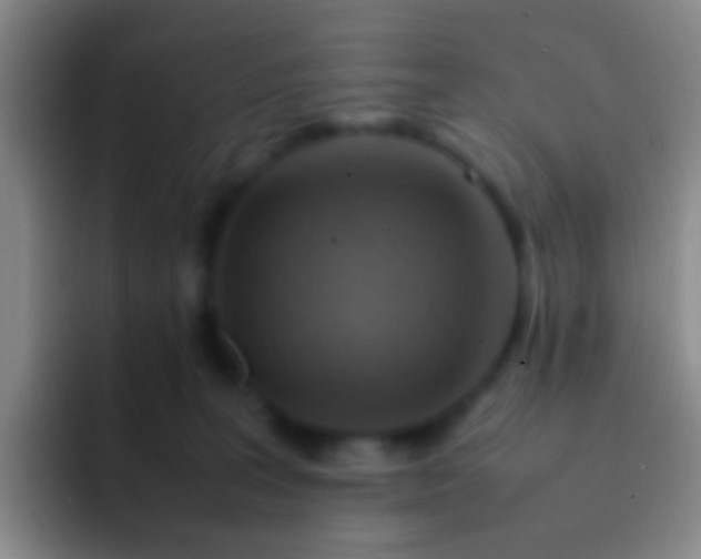 X0000092070227200709262052