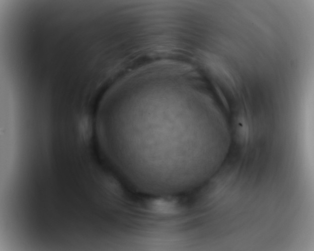 X0000092070232200709262051