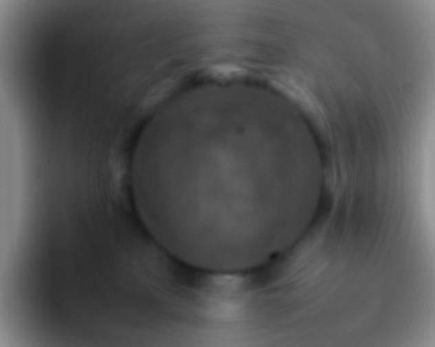 X0000092070233200709262051