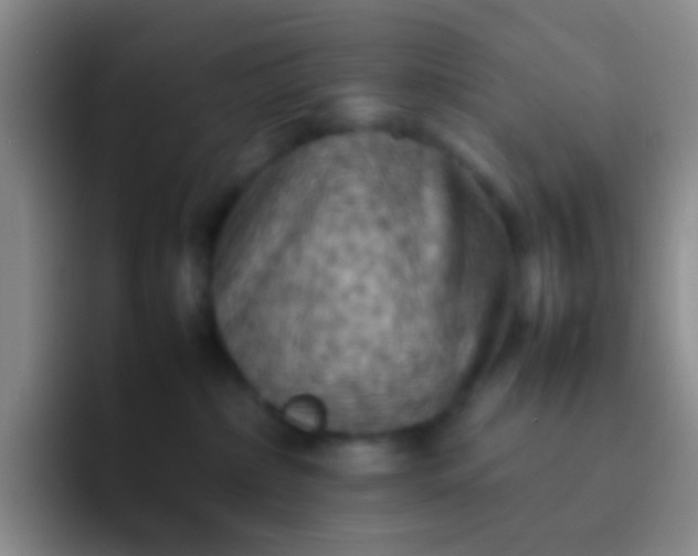 X0000092070236200709262051