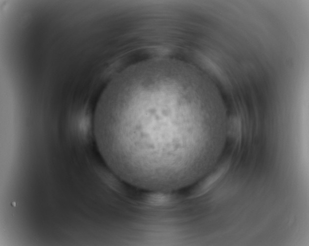 X0000092070238200709262051