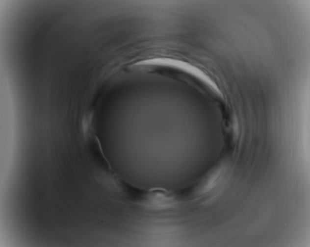 X0000092070239200709262051