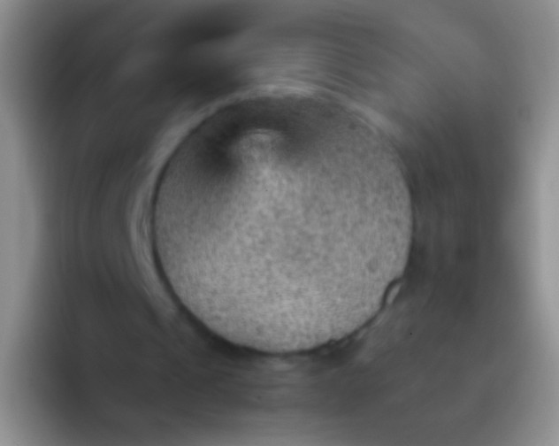 X0000092070241200709262051