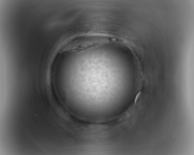 X0000092070242200709262051