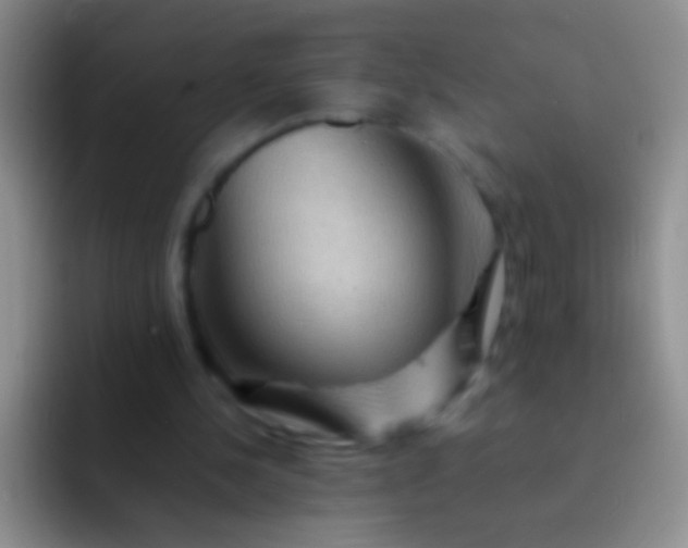 X0000092070244200709262051