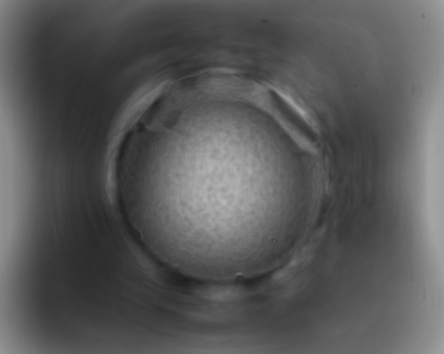 X0000092070245200709262051