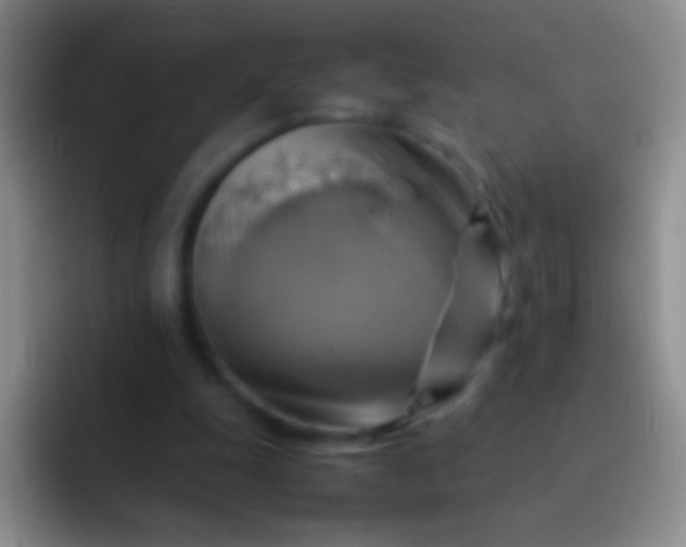 X0000092070247200709262051