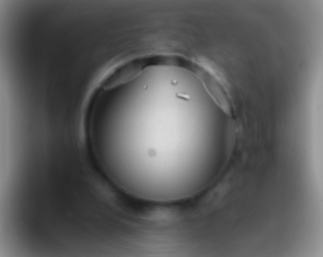 X0000092070248200709262051