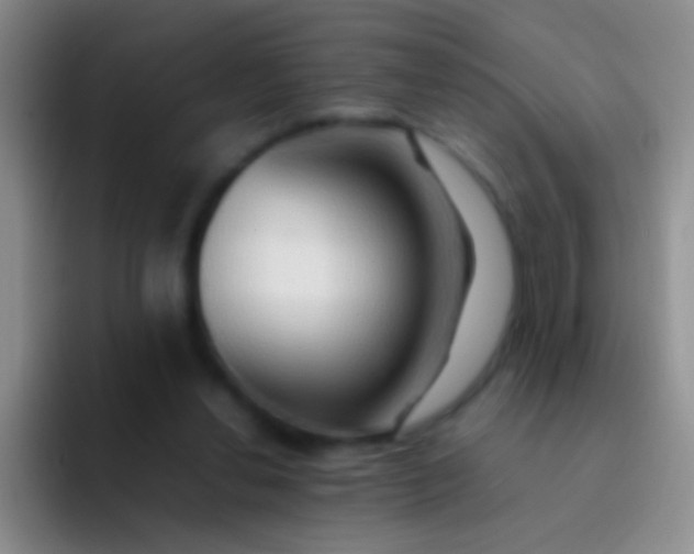 X0000092070252200709262051