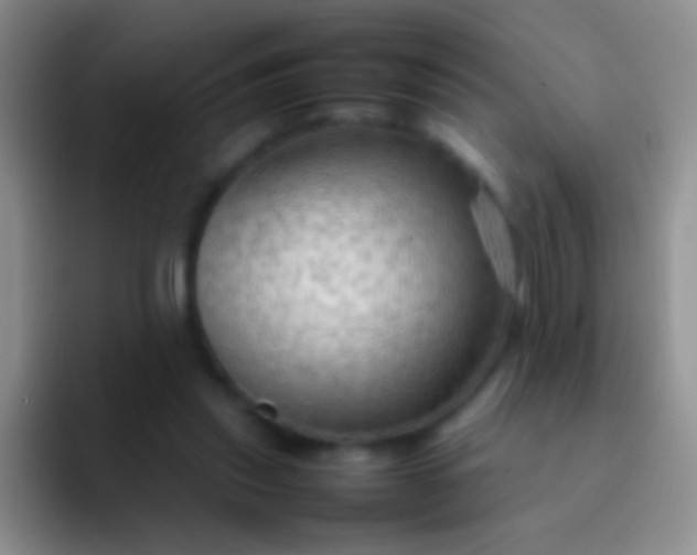 X0000092070253200709262051
