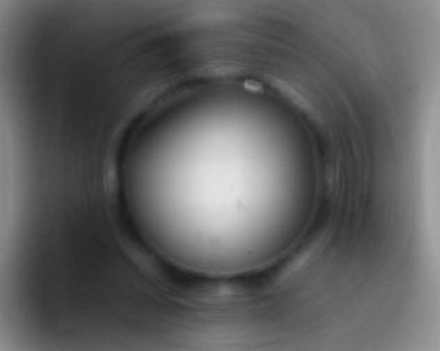 X0000092070254200709262051