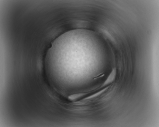X0000092070255200709262051