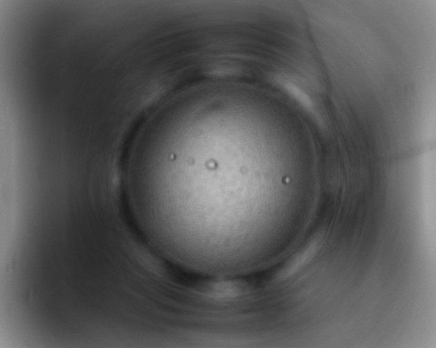 X0000092070261200709262051