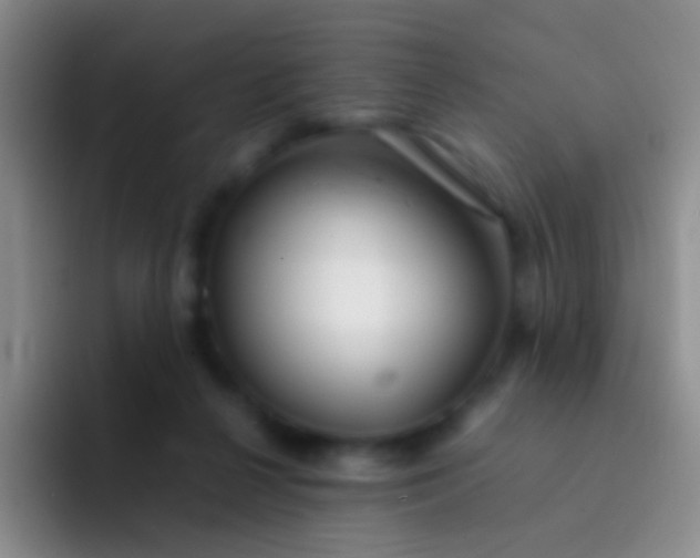 X0000092070264200709262051