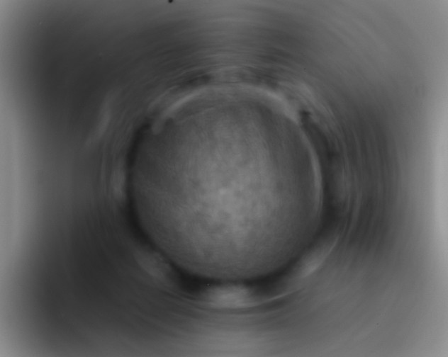 X0000092070266200709262051