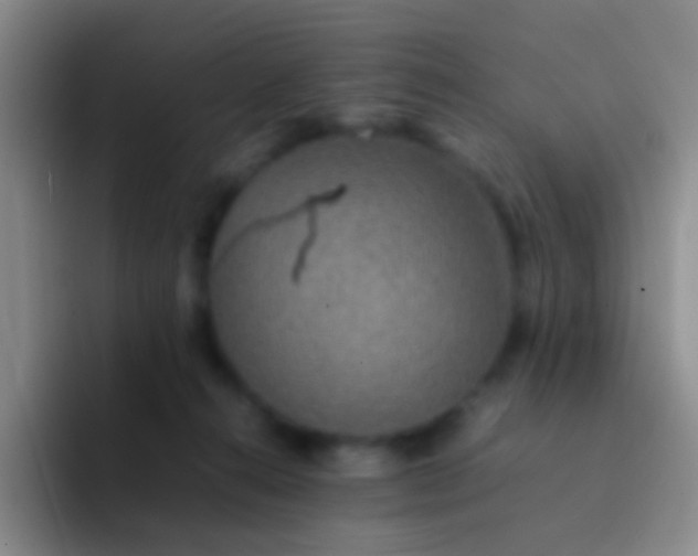 X0000092070272200709262051
