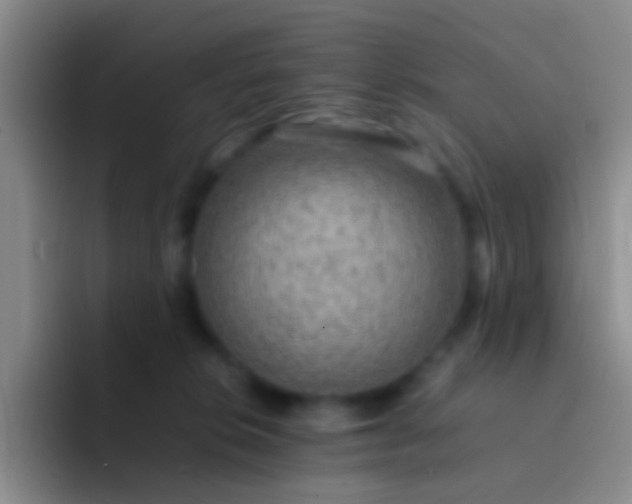 X0000092070276200709262051