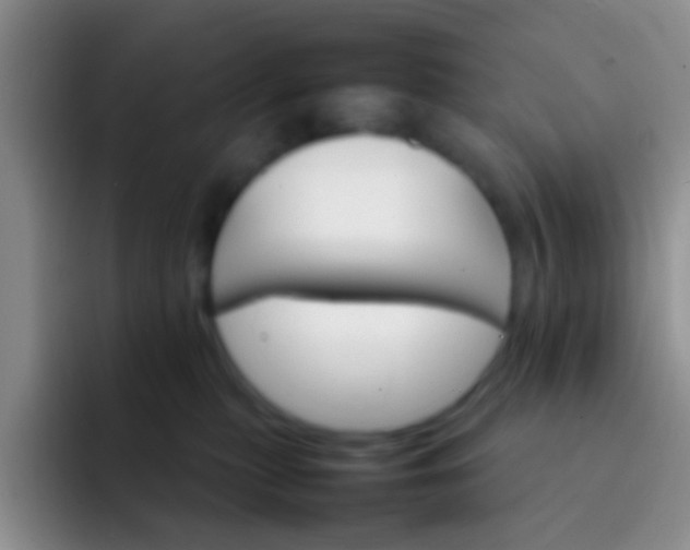X0000092070279200709262051