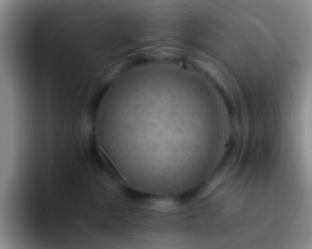 X0000092070284200709262051